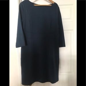 NWT Beautiful Ann Taylor dress...with details